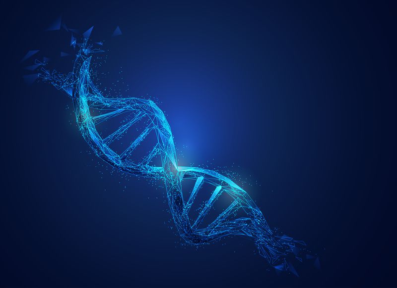 Folik asit DNA faydasını gösteren şekil